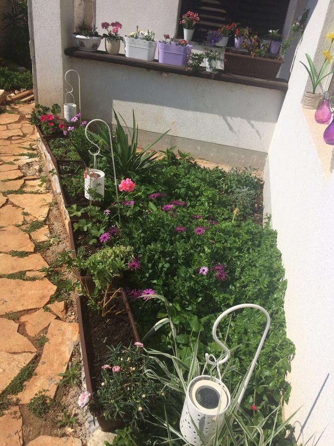 Apartments Marija สตารีกราด ภายนอก รูปภาพ